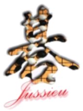 Logo Jussieu